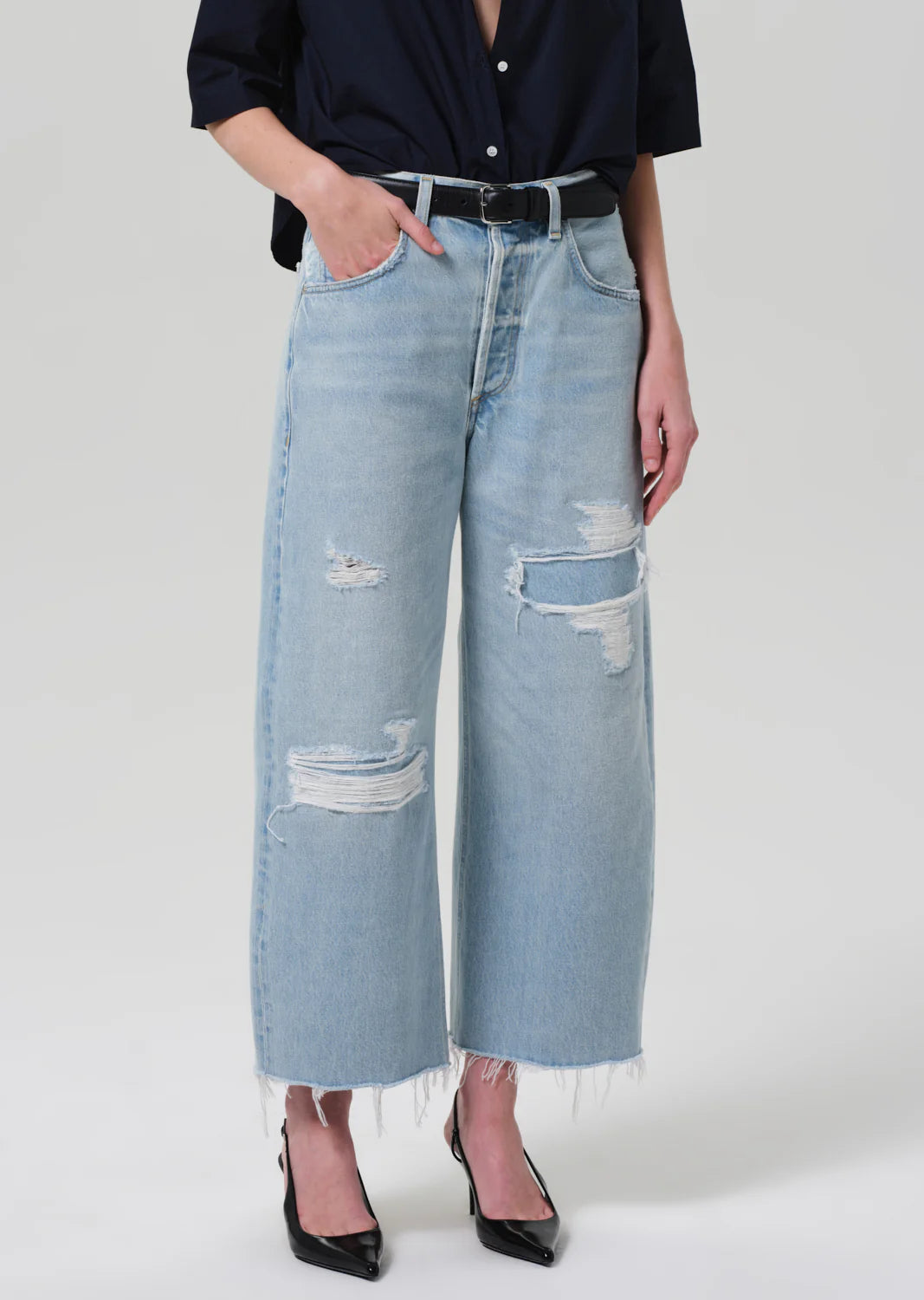 Ayla Crop