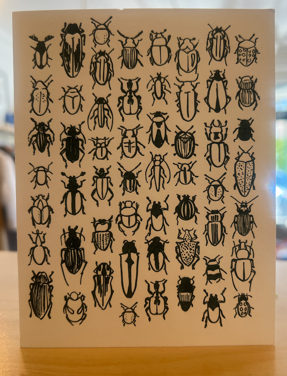 Beetles Card